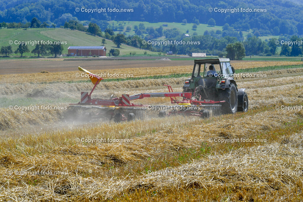 Deutschland_ Baden-Wuerttemberg_ Heiningen_ 11.08.2025-4 | 11.08.2025, Deutschland, GER, Baden-Wuerttemberg, Landkreis Goeppingen, Heiningen, im Bild Themenbild, Feldarbeit, Maehdrescher, Traktor, Heuballen, Heuwenden, Landwirtschaft, Ernte, Ackerbau, Bauernhof, Erntemaschine, Schwaden, Stroh, Heuernte, Ballenpresse, Anhaenger, landwirtschaftliche Technik, Sommer, Landwirt, Bauer, Staub, Feldweg, Sonnenlicht, Landleben, Agrarwirtschaft, Traktorengeraeusch, Maschinenarbeit, Feature, Symbolbild