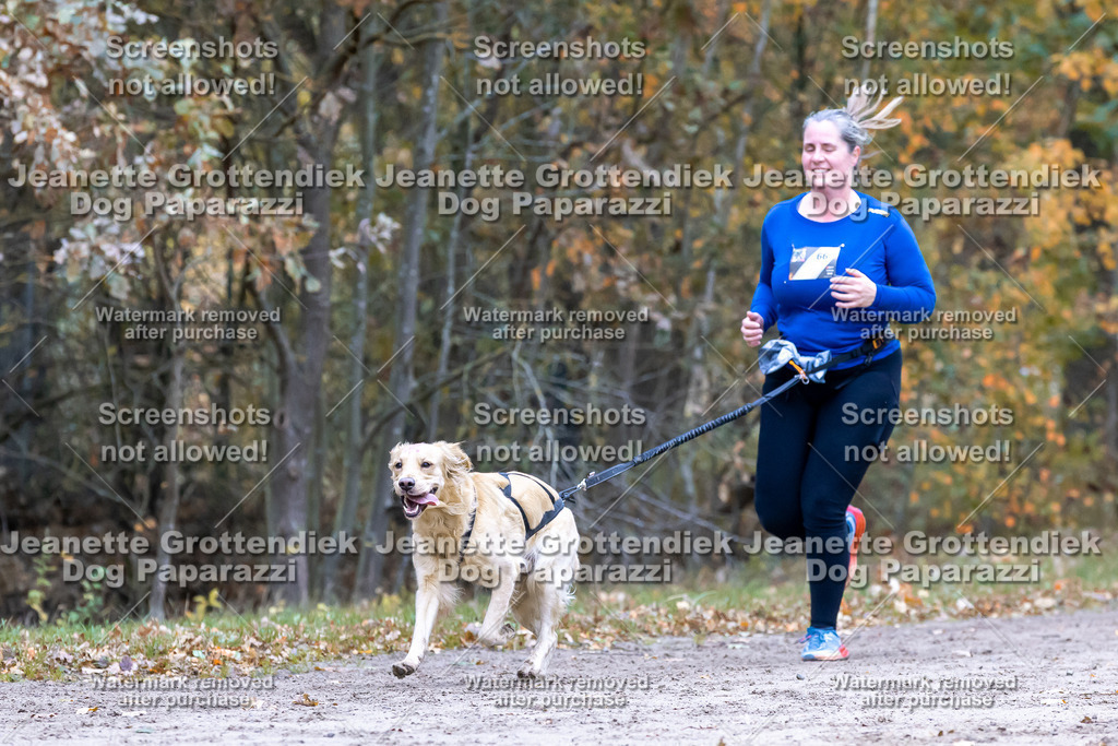 Dog Paparazzi - SD CaniX Championship 2025-416 | Dog Paparazzi Jeanette Grottendiek Fotografie & Videografie - Realisiert mit Pictrs.com