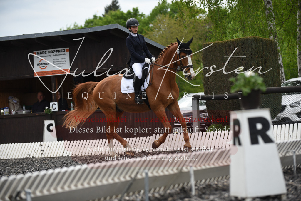 20230513_JK-Röhrsdorf-16-187 | Pferde- und Turnierfotografie in Westsachsen. Pferdeportraits, Auftragszeichnungen und intuitive Kunst.