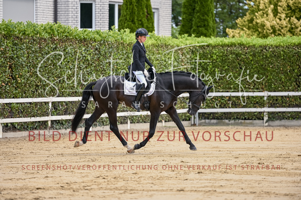 Schugtsche-Aluta25-48.Reitpferfdeprf.-105 | Schugtsche Fotografie - Realisiert mit Pictrs.com