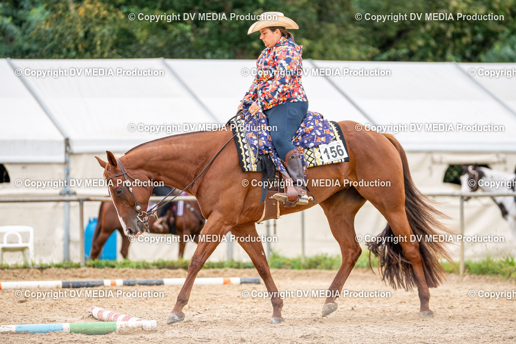 LM Heiligenwald Tag 3-888 | dv-media-shop - Realisiert mit Pictrs.com