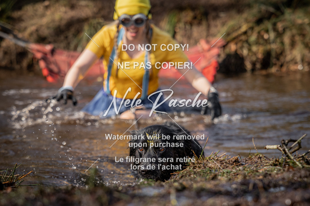 nelerasche_FS1330-1400_182 | nelerasche