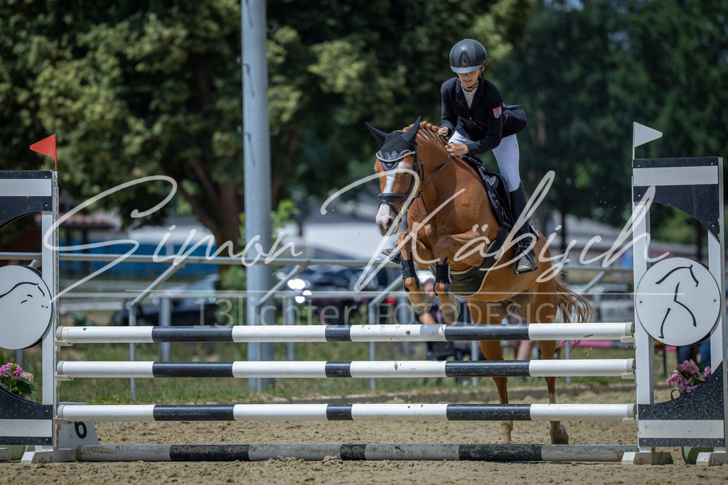 20260704-_3LI9006 | Tierfotografie Pferde, Hunde, Katzen, Haustiere.
Turnierfotografie Reitturniere, Reiten, Springreiten, Dressur in Hanau, dem Main-Kinzig-Kreis und dem Rhein-Main- Gebiet um Frankfurt