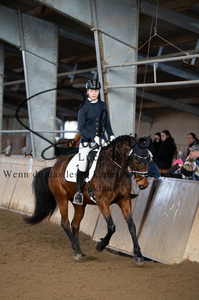 A7V05229 | Pferdefotograf