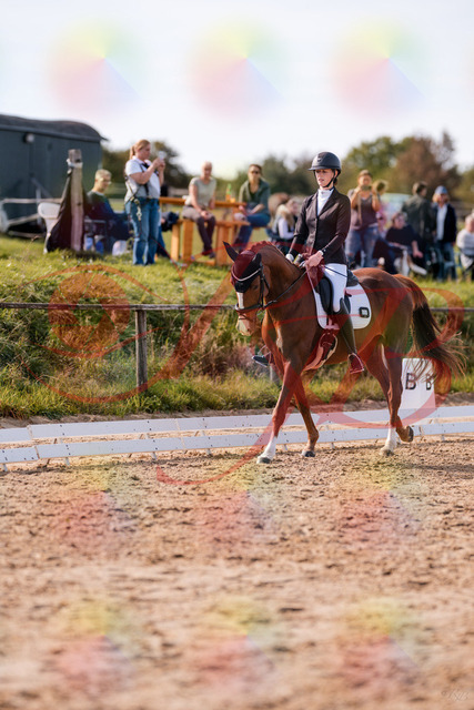 2026_10_03_Siefer-Hof_133124_Z81_85120653 | Professionelle Reitsport-, Turnier- und Eventfotografie von Robert Broda. Galerien mit ausgewählten und bearbeiteten Bildern direkt online ansehen und bestellen.