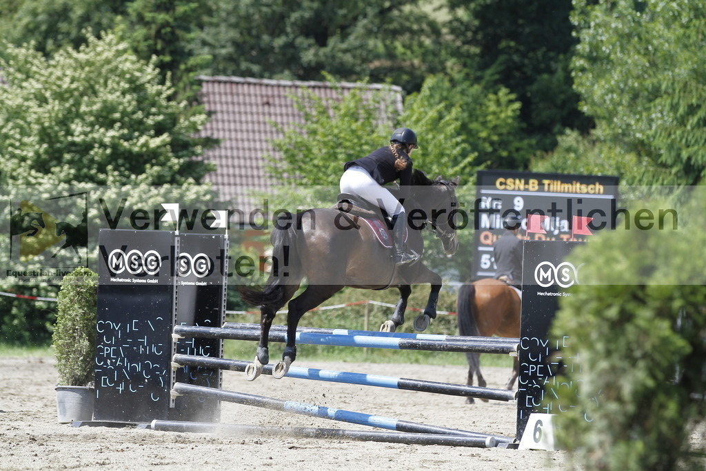 _MG_0729 | equestrian-live-com