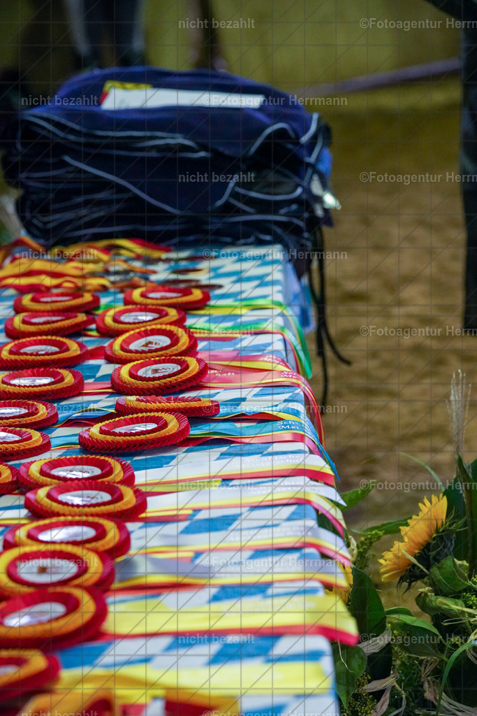 20221002-FAH09595 | Obberbayerische Meisterschaften Vielseitigkeit 2022, Schwäbische Meisterschaften Vielseitigkeit 2022, Mertingen, Schwaben, Bayern, Geländeturnier, Buschreiter, Turnierfotografen Bayern, Fotoagentur Herrmann,  Bayerische Meisterschaften VS Jun. / JR / Pony:, Turnierbilder, Pferdebilder, Turnierfotos, Pferdesortfotografie, Reitsportfotograf, Pferdeshooting