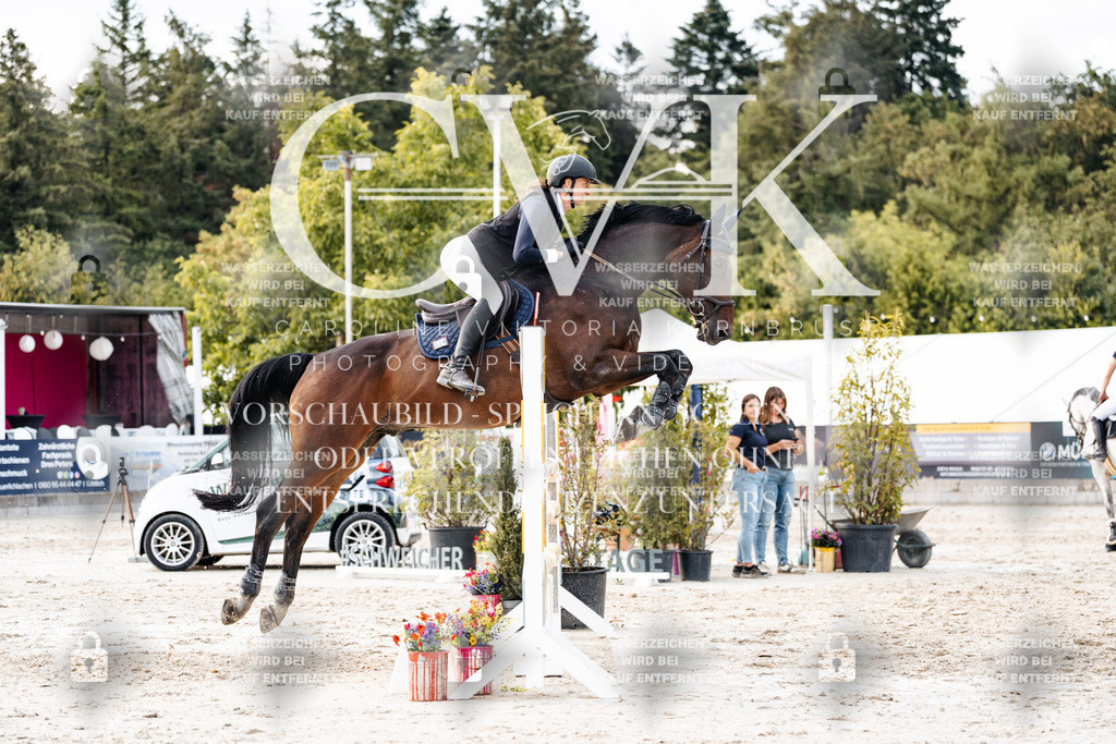 CK903996 | Turnierfotografie Pferdefotografie Trier Rheinland-Pfalz Pferdesport Reitsport Tierfotografie Sportfotografie Pferdevideo Pferdevideografie Equestrianvideography equestrianphotography  - Realisiert mit Pictrs.com