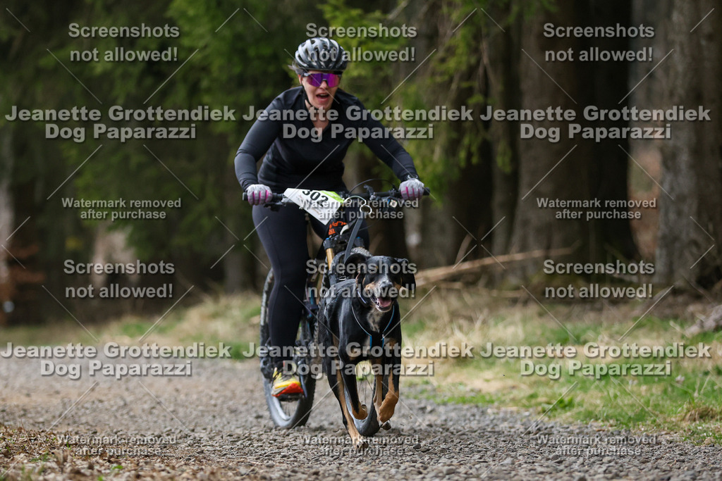 Dog Paparazzi - VCC26-567 | Dog Paparazzi Jeanette Grottendiek Fotografie & Videografie - Realisiert mit Pictrs.com