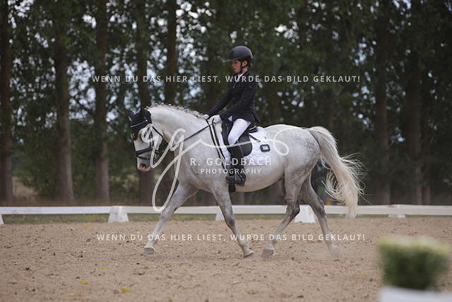 1J2A0986Charlotte Fehr_ Ikon 16_ Kn061_ Wöpkendorf_ Annalena Beier_ Quinn M_ Kn095 | Foto- und Videografie für alles rund ums Pferd. Hochwertige Bilder und Videos vom Spring- und Dressurreiten, Voltigieren & mehr. Jetzt aktuelle Veranstaltungen und Preise im Shop ansehen. - Realisiert mit Pictrs.com