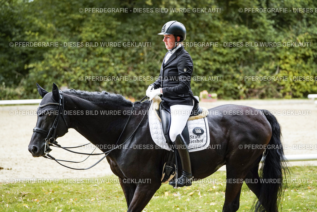 DSC02236 | Pferdegrafie