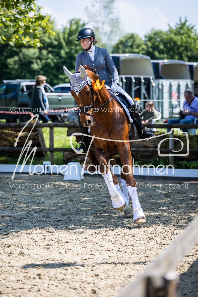 Donop24-L-Dre-144 | MomenTaufnahmen Pferdesportfotos