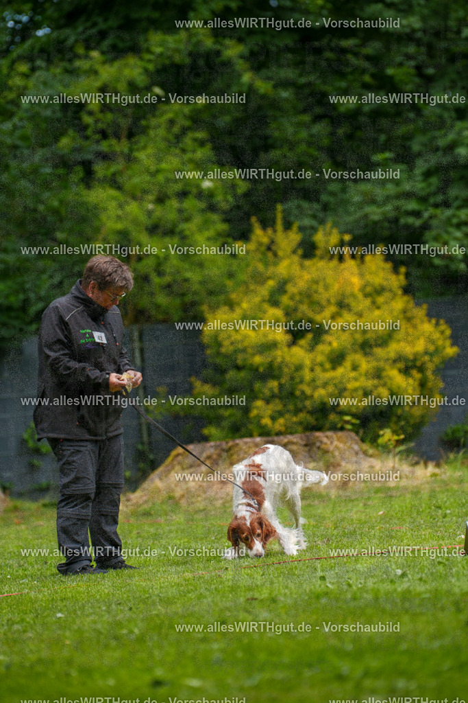 @allesWIRTHgut_Tierfotografie - www.allesWIRTHgut.de - 131714-7R500011 | Professionelle Tierfotografie in Mönchengladbach von Daniel Wirth (allesWIRTHgut). Liebevolle & natürliche Bilder von Hunden & Katzen für unvergessliche Erinnerungen.