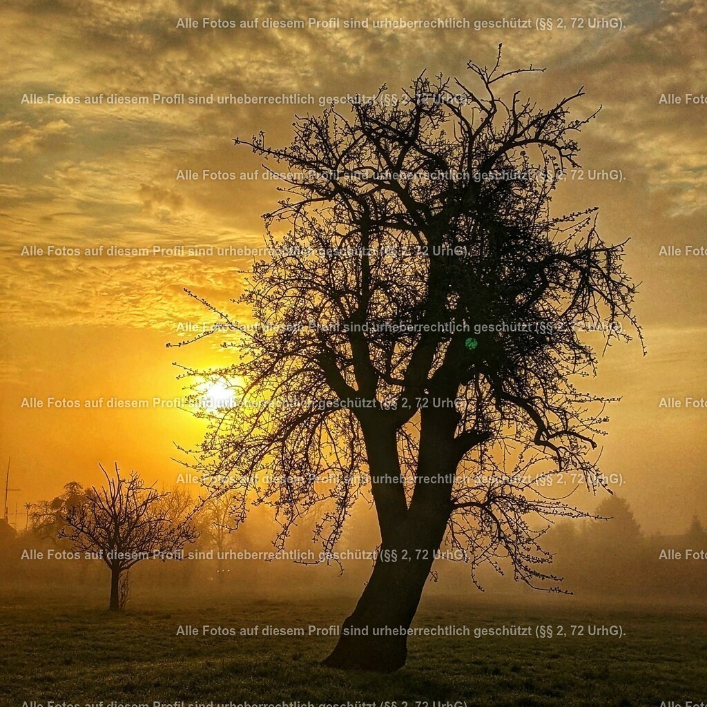 IMG_20210420_090643_299 | krollfotografie - Realisiert mit Pictrs.com