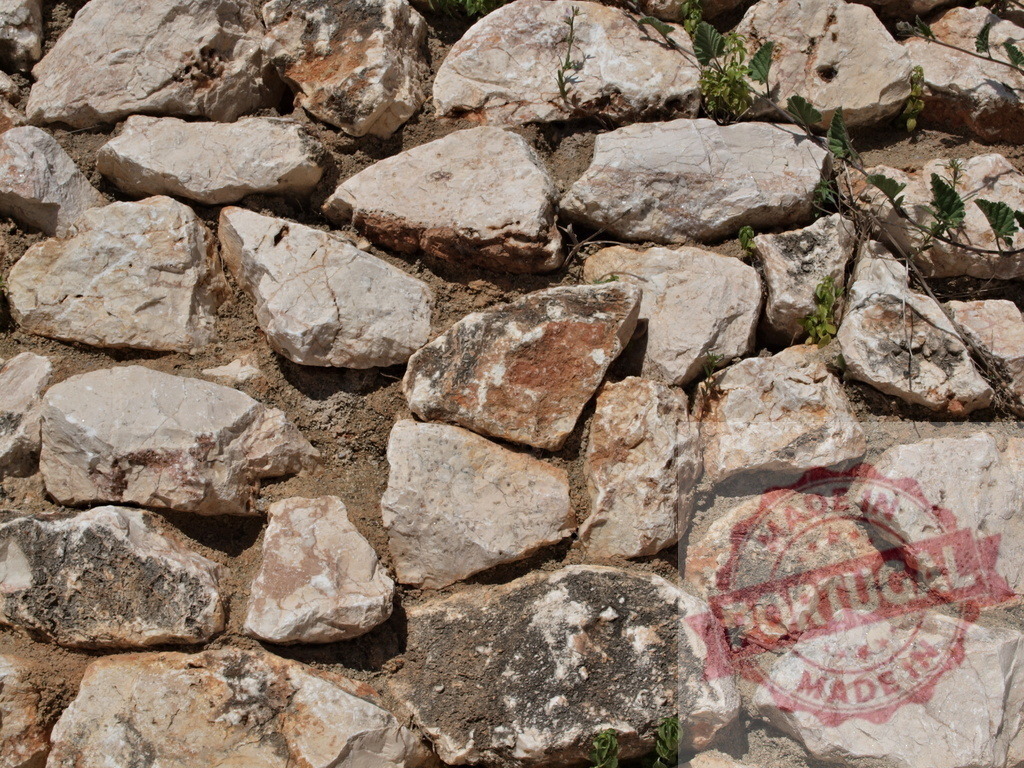 Dry stone wall texture with growing plants in sunlight | Background of an old dry stone wall with some small green plants growing in the cracks - Realisiert mit Pictrs.com