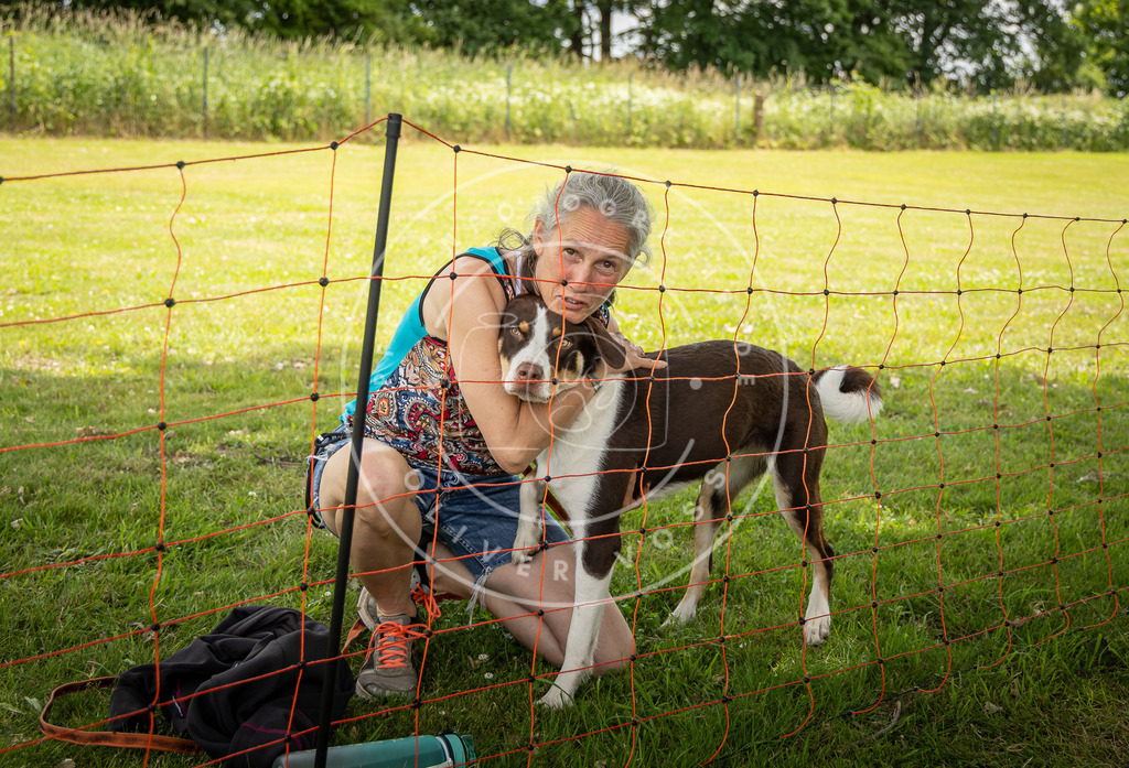 Pfotenfotografie_0L8A4172 | Hundefotografie, Tierfotograf, Pfotenfotografie, Fotoshooting Hund, Hunde Portrait, Hundesport, Hundeportraits, Heideshooting, Hunde, Sportfotograf, Hundefotograf, Turnierhundsport, THS,  - Realisiert mit Pictrs.com