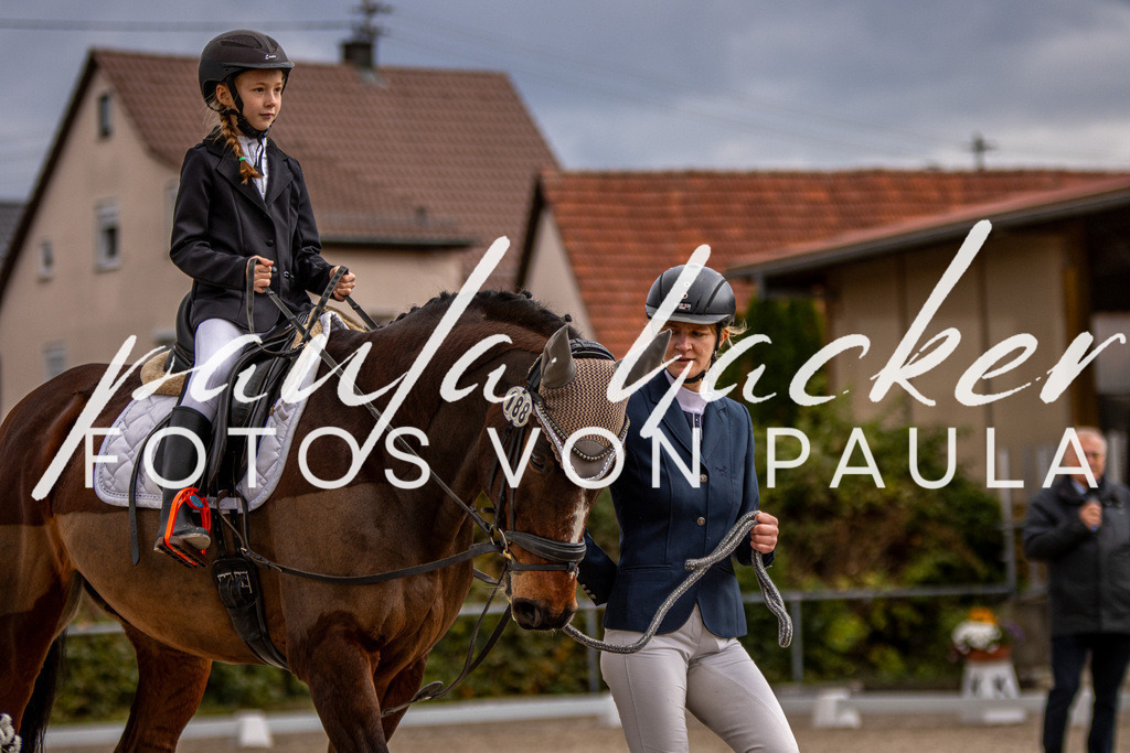 IMG_3845 | Erleben Sie dynamische Sport- und emotionale Tierfotografie in Süddeutschland mit Fotos von Paula. Spezialisiert auf Pferde- und Hundefotografie sowie Sportevents. Kontaktieren Sie mich für einzigartige und ausdrucksstarke Bilder Ihrer besonderen Momente. - Realisiert mit Pictrs.com