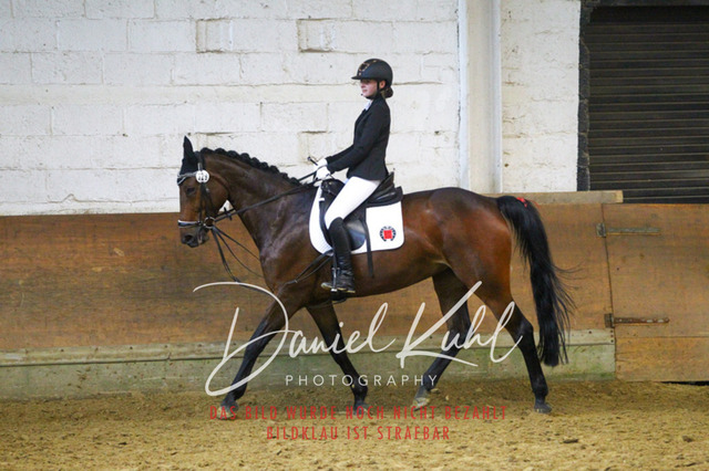 DKP44482 | Turniersportfotografie; Pferdefotografie; Dressurfotografie