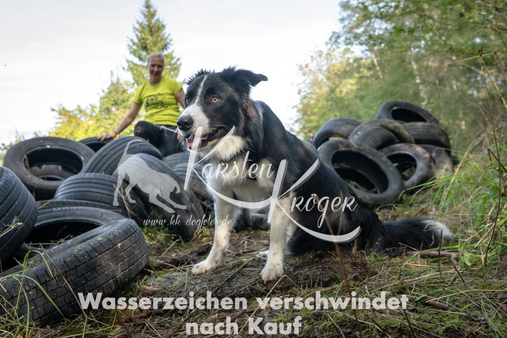1538_ZZ91962 | kk-dogfotos