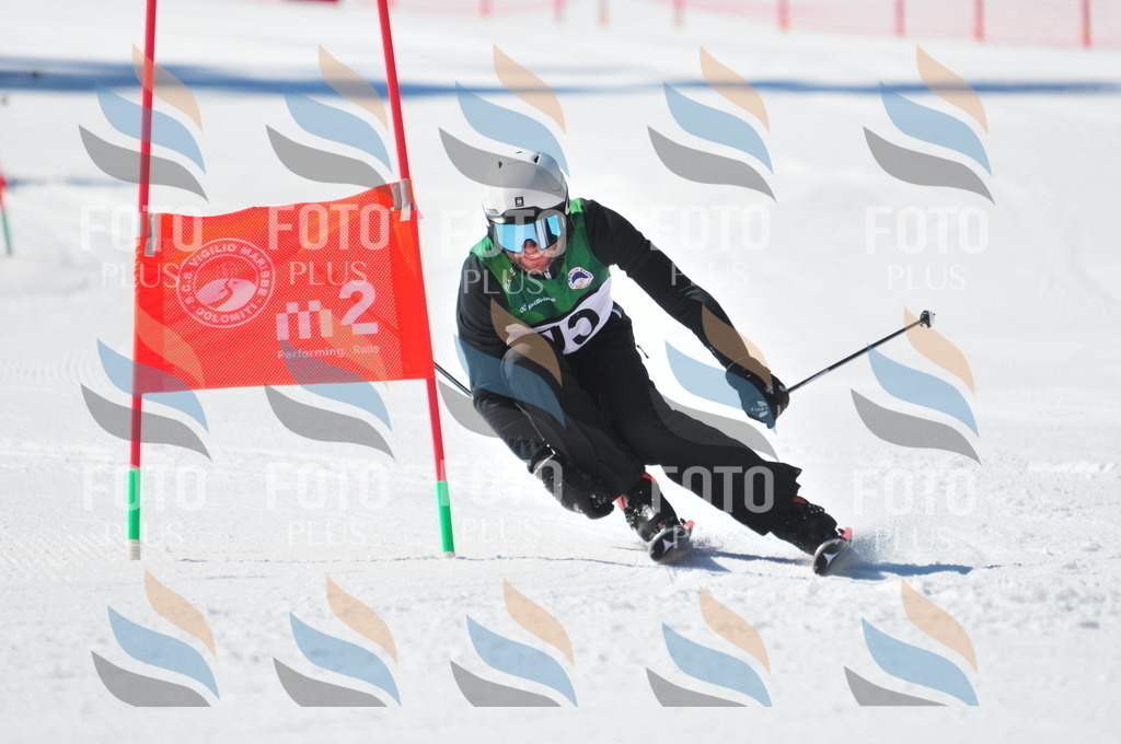 C3314 | holidayphoto