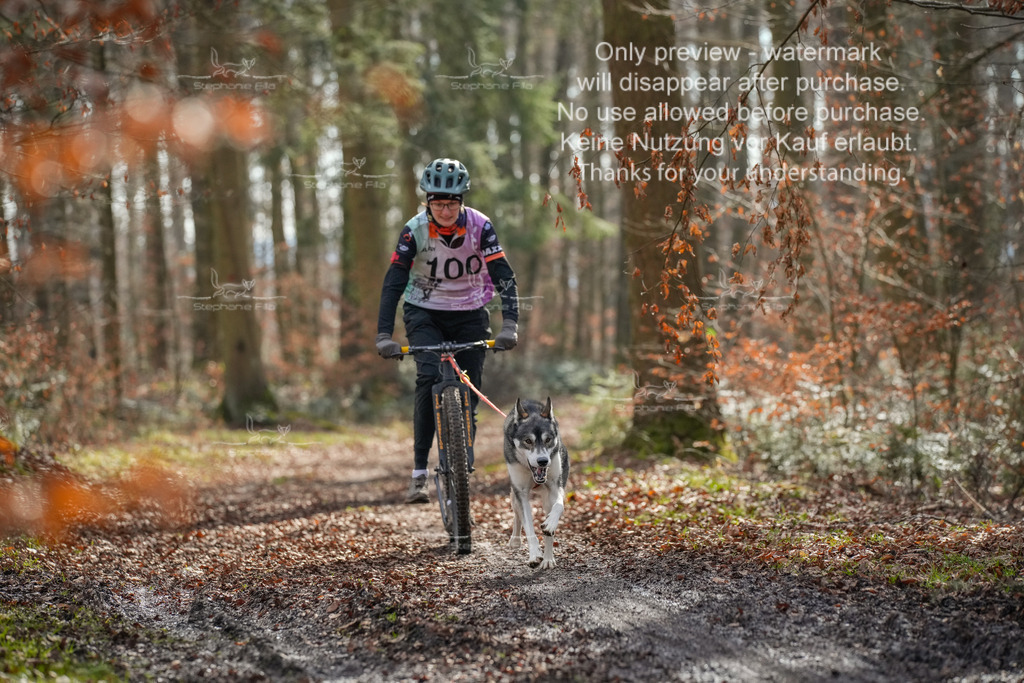 So_Scooter1-85 | stephaniefillaphotographie - Realisiert mit Pictrs.com