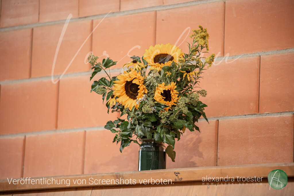 250913_Barop_13_120 | farbklaex.com