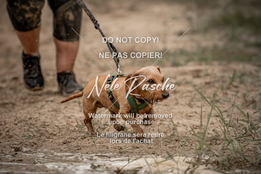 nelerasche_sa1100-1200_216 | nelerasche
