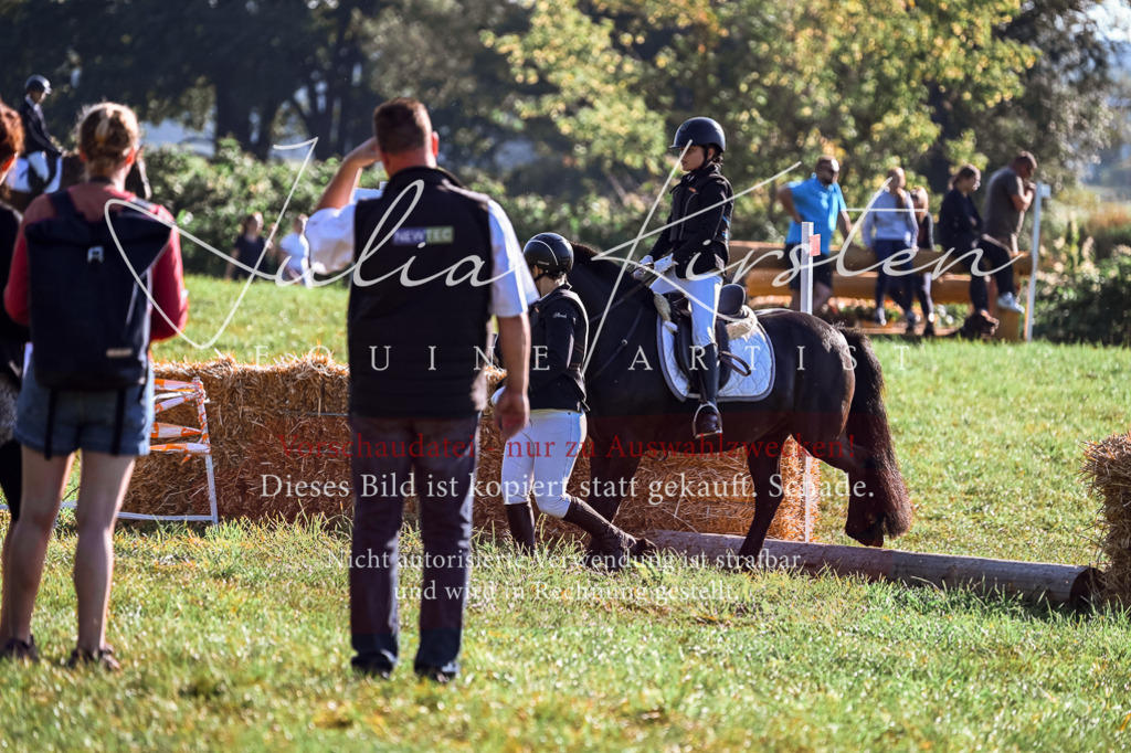 DSC_0381 | Pferde- und Turnierfotografie in Westsachsen. Pferdeportraits, Auftragszeichnungen und intuitive Kunst.