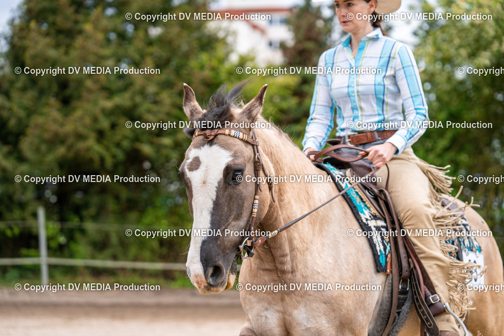 Balingen Tag 2-20 | dv-media-shop - Realisiert mit Pictrs.com