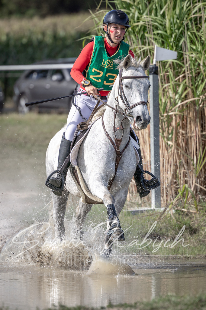 20250907-_3LI2396 | Tierfotografie Pferde, Hunde, Katzen, Haustiere.
Turnierfotografie Reitturniere, Reiten, Springreiten, Dressur in Hanau, dem Main-Kinzig-Kreis und dem Rhein-Main- Gebiet um Frankfurt