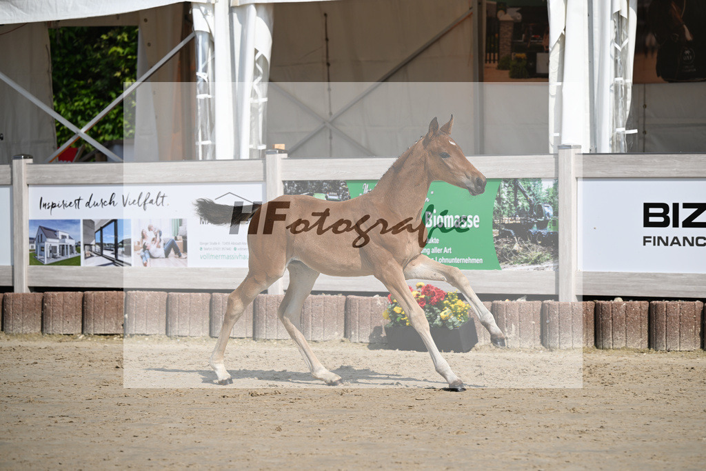 Feliciano x Danone I_SF_Huber_12250110 | hf-fotografie - Realisiert mit Pictrs.com