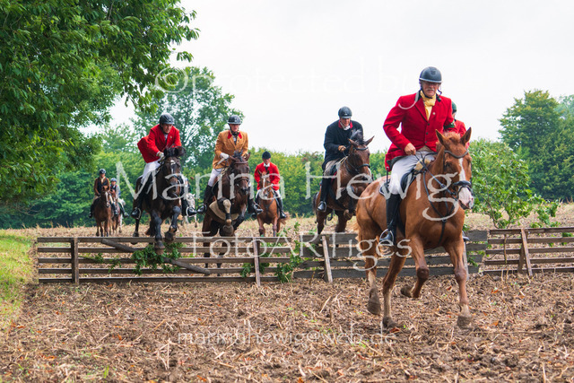 Jagd Kletkamp 26-03059_MarinaHewig | Fotografie, FotoArt, PferdesportArt, Pferdesportfotografie, Landschaftsfotografie, Reisefotografie, Reise, Pferde - Realisiert mit Pictrs.com