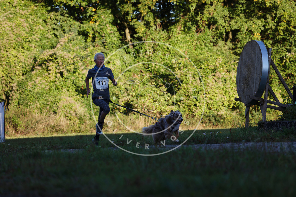 0L8A4576 | Hundefotografie, Tierfotograf, Pfotenfotografie, Fotoshooting Hund, Hunde Portrait, Hundesport, Hundeportraits, Heideshooting, Hunde, Sportfotograf, Hundefotograf, Turnierhundsport, THS,  - Realisiert mit Pictrs.com