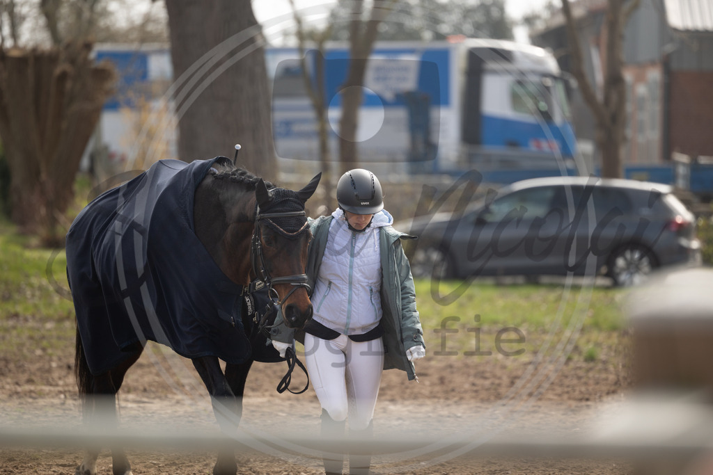 994A8743 | sabrinanicolaifotografie - Realisiert mit Pictrs.com