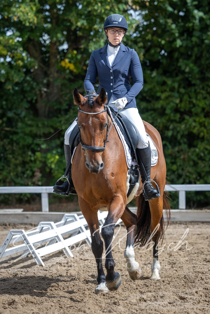 20260905-_3LI8107 | Tierfotografie Pferde, Hunde, Katzen, Haustiere.
Turnierfotografie Reitturniere, Reiten, Springreiten, Dressur in Hanau, dem Main-Kinzig-Kreis und dem Rhein-Main- Gebiet um Frankfurt
