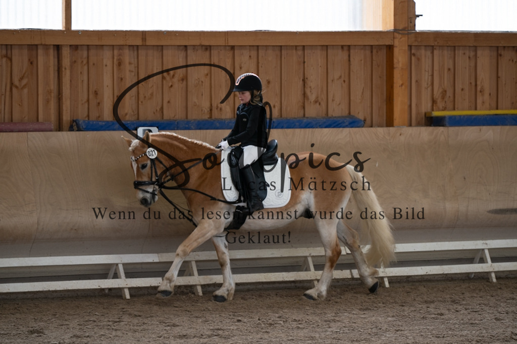 A7V09249 | Pferdefotograf