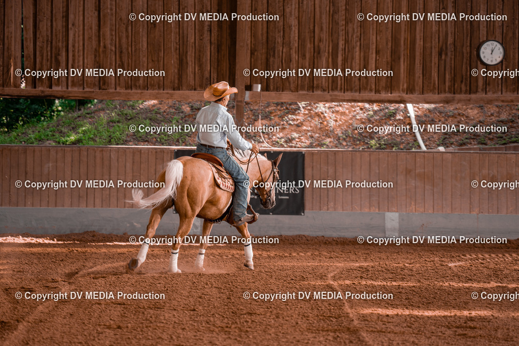 NE201181 | dv-media-shop - Realisiert mit Pictrs.com