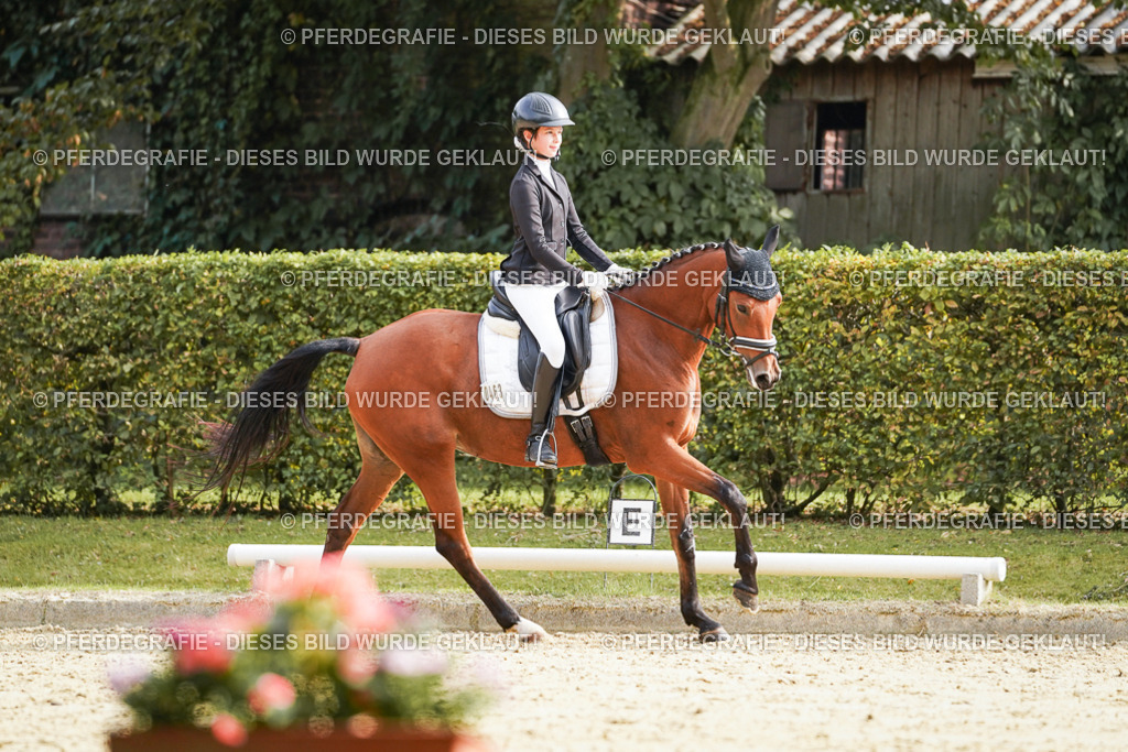 DSC05216 | Pferdegrafie