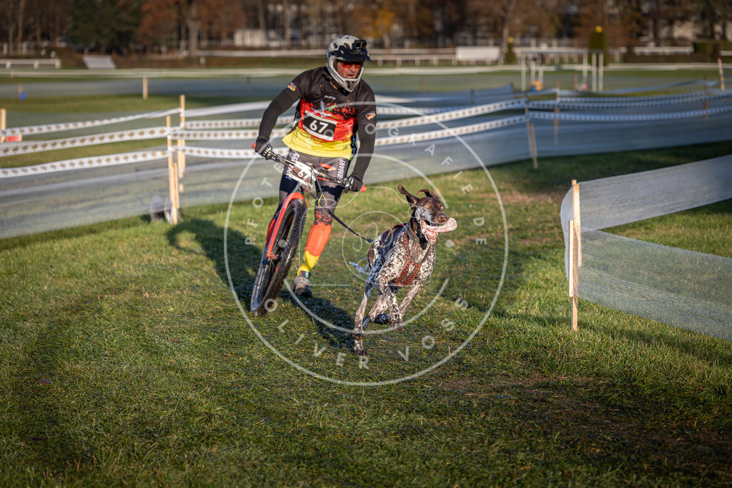 CaniXpix_0L8A3221 | Hundefotografie, Tierfotograf, Pfotenfotografie, Fotoshooting Hund, Hunde Portrait, Hundesport, Hundeportraits, Heideshooting, Hunde, Sportfotograf, Hundefotograf, Turnierhundsport, THS,  - Realisiert mit Pictrs.com