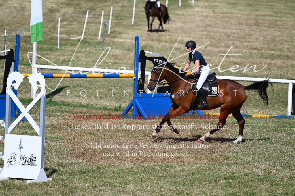DSC_2205 | Pferde- und Turnierfotografie in Westsachsen. Pferdeportraits, Auftragszeichnungen und intuitive Kunst.