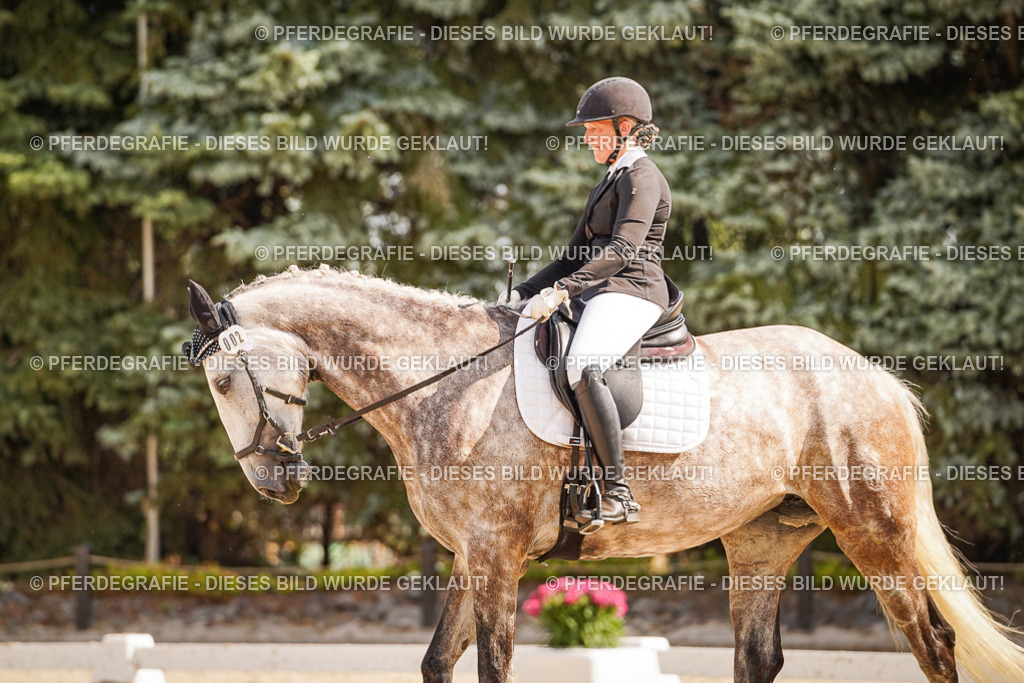 DSC01078 | Pferdegrafie