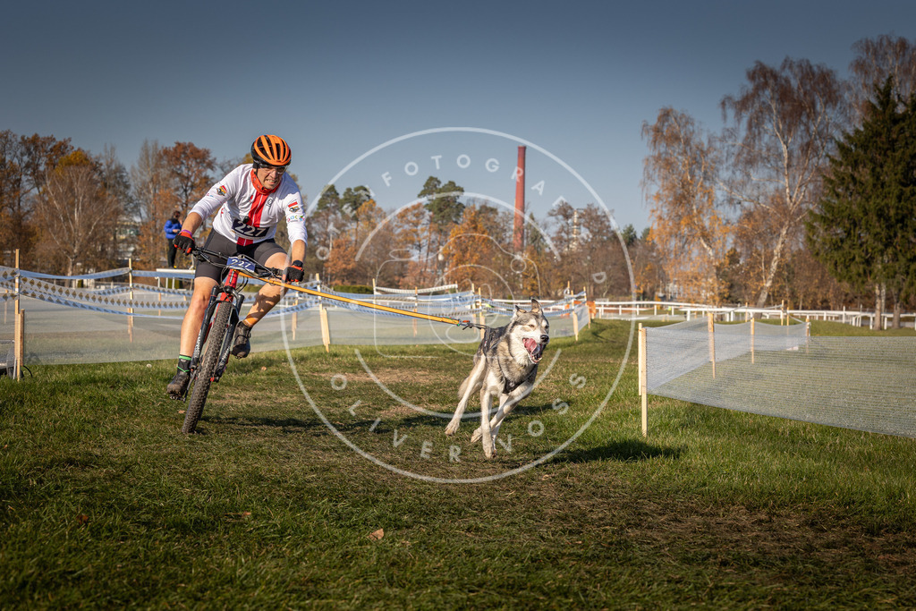 CaniXpix_0L8A8081 | Hundefotografie, Tierfotograf, Pfotenfotografie, Fotoshooting Hund, Hunde Portrait, Hundesport, Hundeportraits, Heideshooting, Hunde, Sportfotograf, Hundefotograf, Turnierhundsport, THS,  - Realisiert mit Pictrs.com