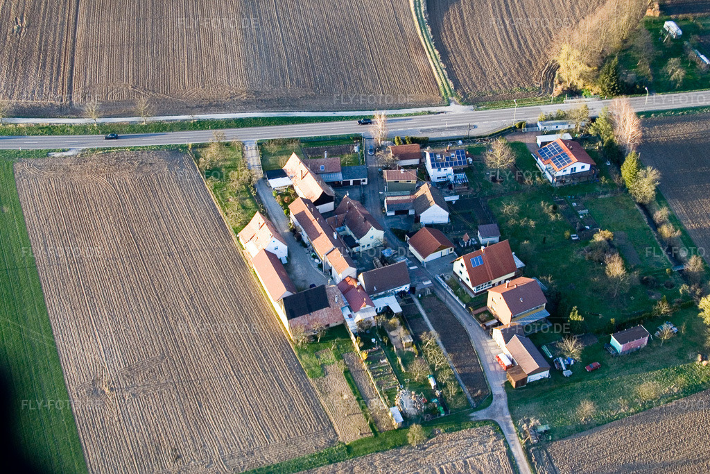 Luftbild: Welschhof in Freckenfeld im Bundesland Rheinland-Pfalz in Deutschland. Foto: IMG_9867.jpg vom 18.03.2008 durch Werner Riehm/FLY-FOTO.de
