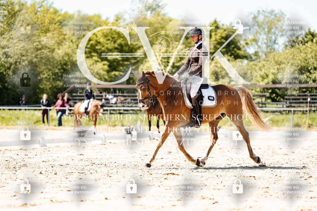 CK905506 | Turnierfotografie Pferdefotografie Trier Rheinland-Pfalz Pferdesport Reitsport Tierfotografie Sportfotografie Pferdevideo Pferdevideografie Equestrianvideography equestrianphotography  - Realisiert mit Pictrs.com