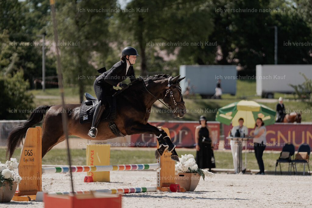 WE_SP_Stoib_309_PI2025_1497 | Pferd International München 2025
