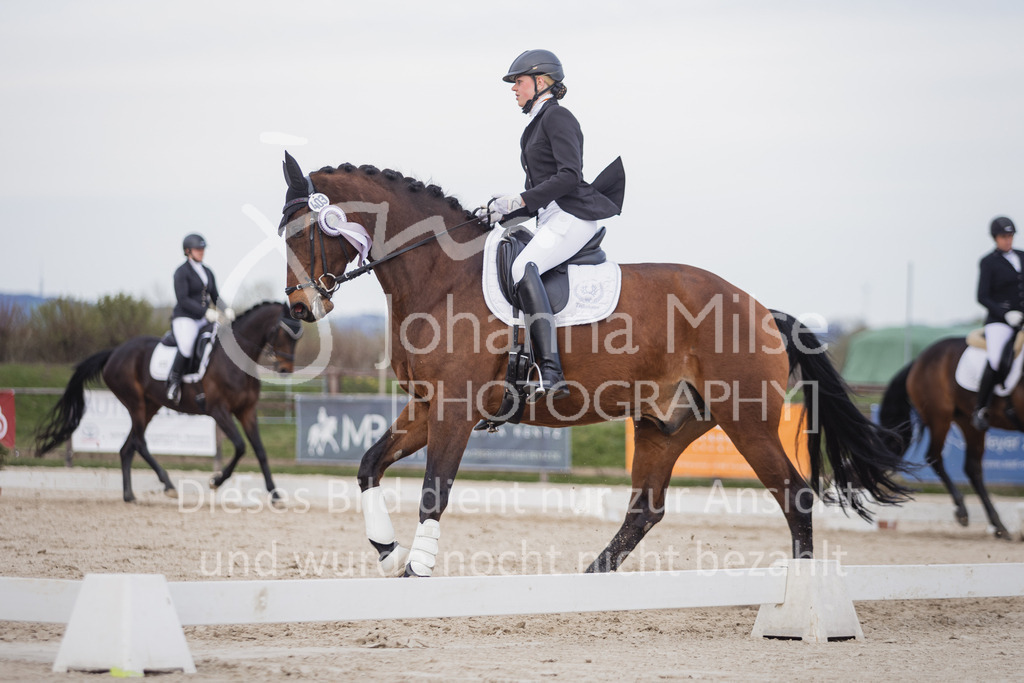 230410_Frühlingsfest_Dressurreiter-L-730 | Deine schönsten Turniermomente als professionelle Fotos! Entdecke hochwertige Pferdesport-Fotografie im Online-Shop. Jetzt Fotos finden & bestellen!