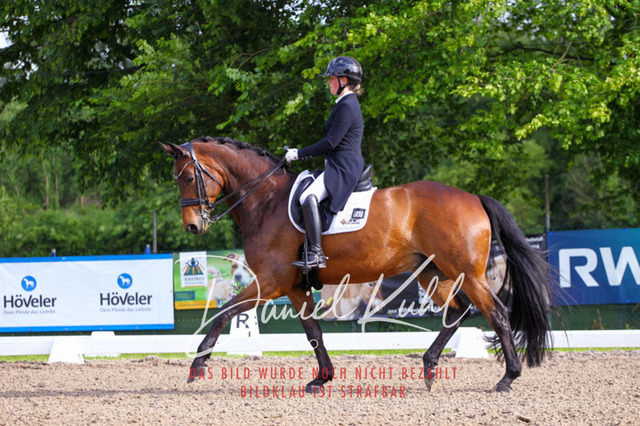 DKP41702 | Deine Turnierfotos vom Reitturnier online kaufen: Dressur, Springen & Siegerehrung. Professionelle Pferdefotografie aus dem Rheinland – als Download & Print.Alternative: Turnierfotograf für den Pferdesport: Finde deine Fotos von Dressur- und Springturnier
