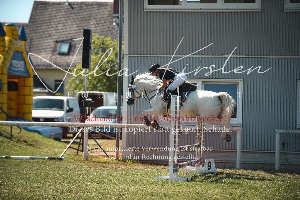 DSC_7275 | Pferde- und Turnierfotografie in Westsachsen. Pferdeportraits, Auftragszeichnungen und intuitive Kunst.
