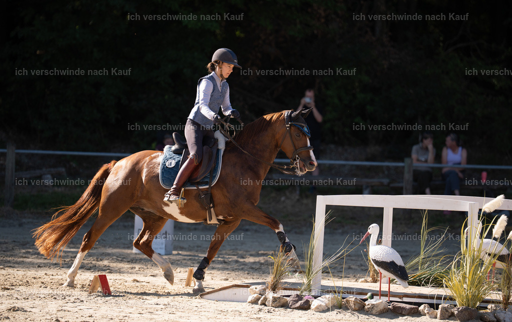 WL_SP_86_Stoibphotography_SO14938 | working equitationturnier fotograf videograf stoibphotography marixx film working equitation deutschland reitsport turnierfotografie eventfotografie equestrian events