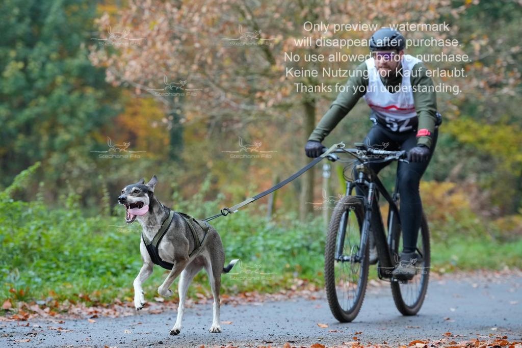 Bike_So-139 | stephaniefillaphotographie - Realisiert mit Pictrs.com